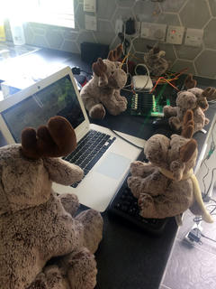 Photograph of cuddly toy moose gathered around lots of ARM boards and a laptop-like device.