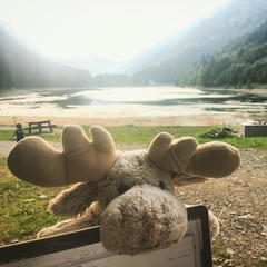 Alpine lake with laptop in foreground. Also, a cuddly toy moose.