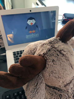 Photograph of a cuddly toy moose posed by a laptop.
